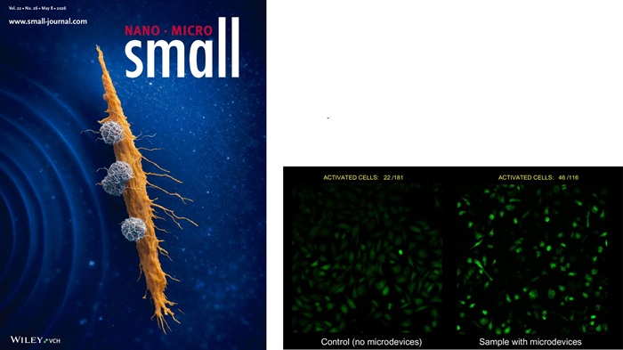 portada i comparativa