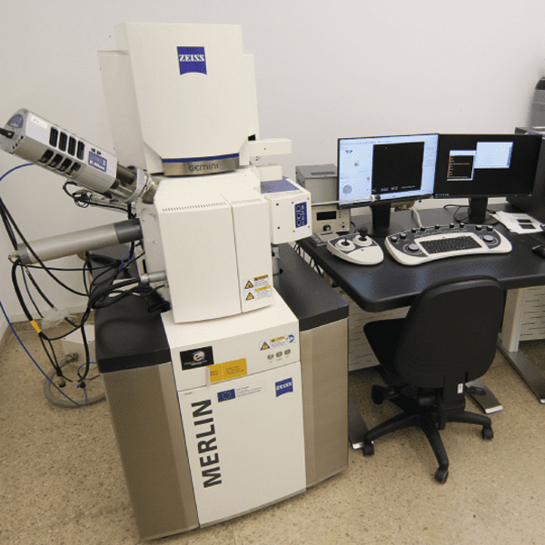 Microscopi SEM Zeiss Merlin